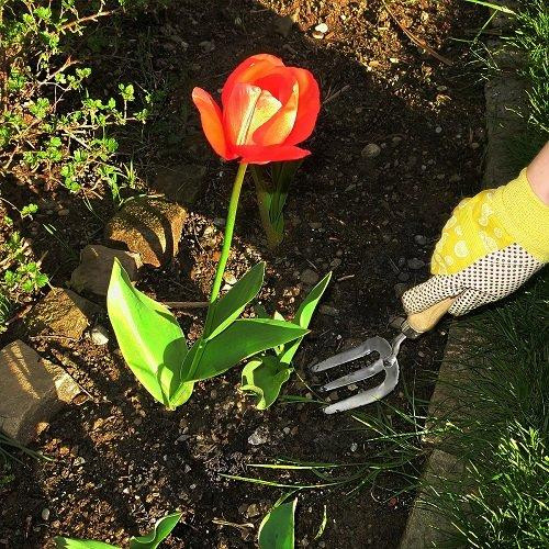 Вилка садові Gruntek Inox 310 мм Одеса - фото 4