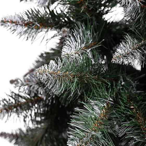 Ялинка Принцеса 2 м зі сніговими кінчиками Київ