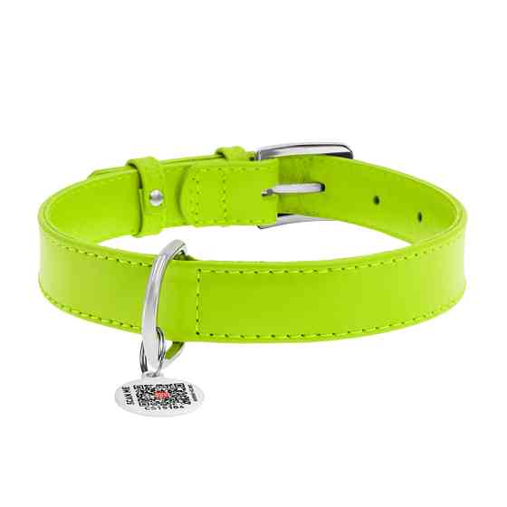 Нашийник для собак шкіряний WAUDOG Glamour з QR паспортом, без прикрас, M, Ш 20 мм, Дов 30-39 с Коломия