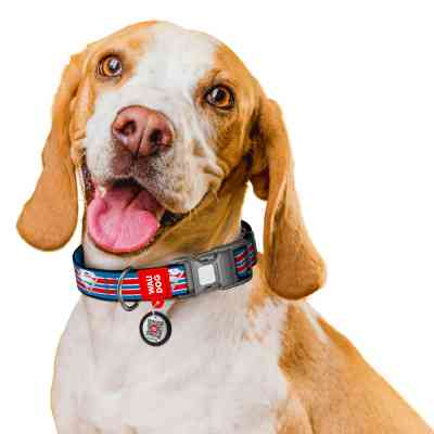 Нашийник для тварин WAUDOG Nylon з QR паспортом "Супермен Ретро", пластиковий фастекс, S (280-1082) Вінниця