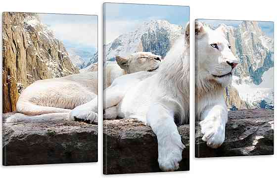 Модульна картина у вітальню/ спальню Білі Леви Art-567_3 70x130 см Київ