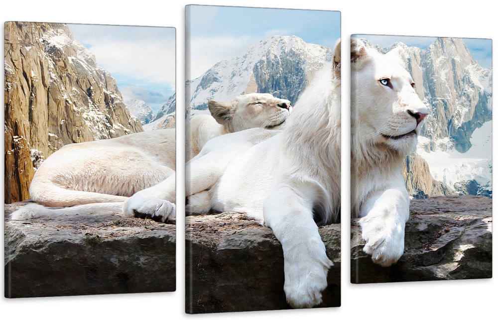 Модульна картина у вітальню/ спальню Білі Леви Art-567_3 70x130 см Київ - фото 1