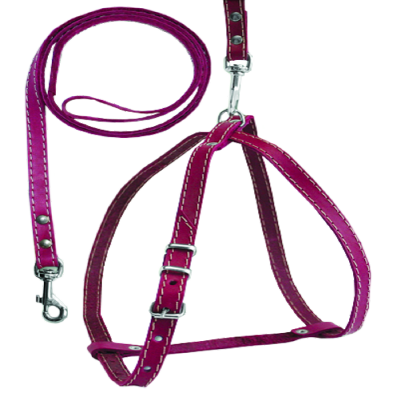 762 Комплект "КЛАСИК" собака №0 Вінниця - фото 1