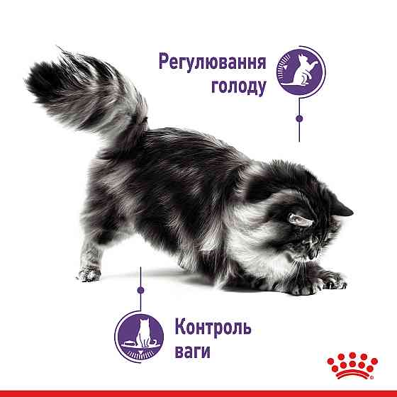 Вологий корм для дорослих стерилізованих котів, від випрошування корму ROYAL CANIN APPETITE CONTROL CARE 85 г Київ