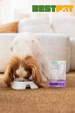 Nature's Protection Superior Care White Dogs Adult Tuna & Salmon Додатковий вологий корм для собак з білим забарвленням з тунцем і лососем, 7 Киев