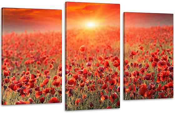 Модульная картина Природа Маки 2 Art-65_3 70x130 см Киев