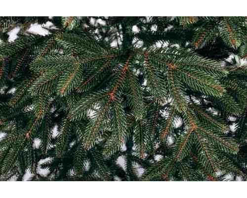 Литая Бельгийская елка с густой хвоей (Зеленая) 1.9м Винница