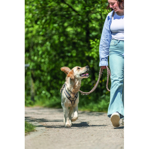 Повідок Trixie Cavo для собак регульований для собак L–XL 2 м діаметр 18 мм рожево-пісочний Київ - фото 3