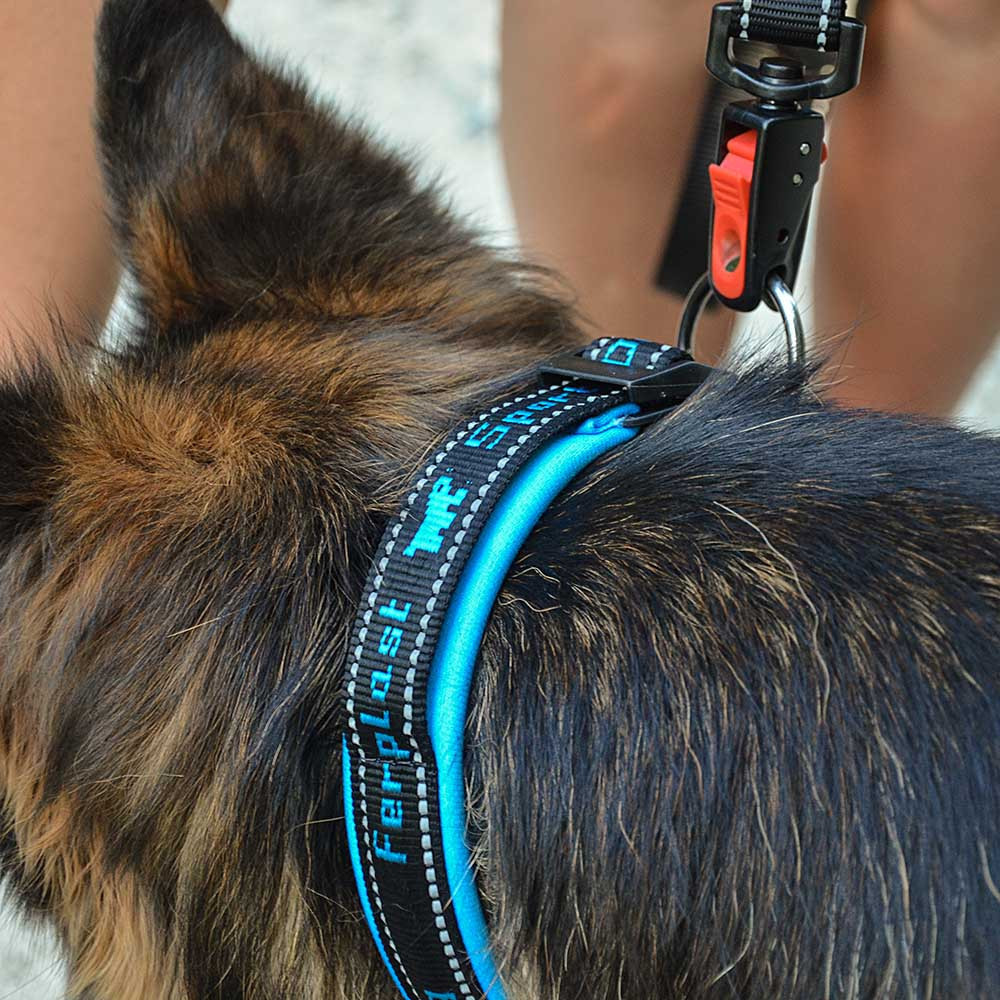 Кошійник для собак Ferplast Sport Dog C (Ферпласт Спорт Дог С) 550, Синій, 25 Запоріжжя - фото 9
