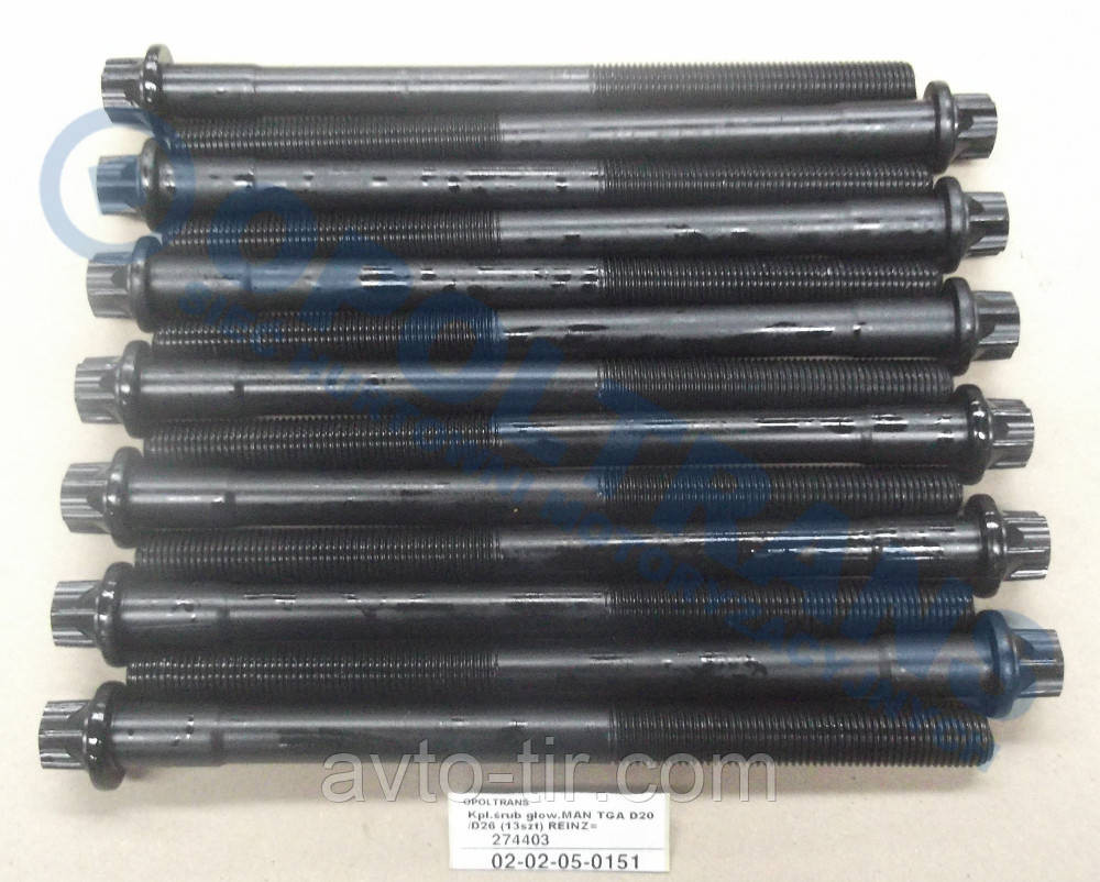 Болт головки MAN TGA, TGS, TGX (комплект- 13 шт) 51900200421 51900200416 Луцк - изображение 1