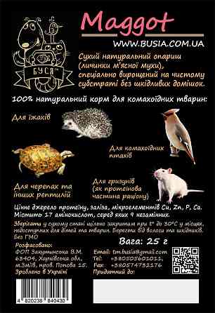 Опариш сухий "Maggot" тм Буся. Корм для черепах, рептилій, їжаків, птахів, гризунів. Пакет 25г Зміїв