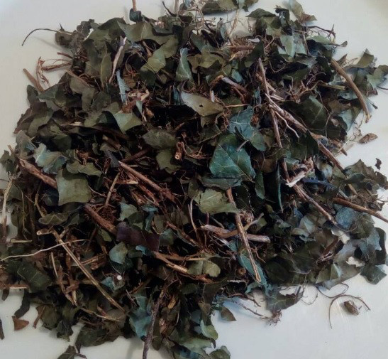 Плющ (трава), 500г. MasterSEM Киев - изображение 1