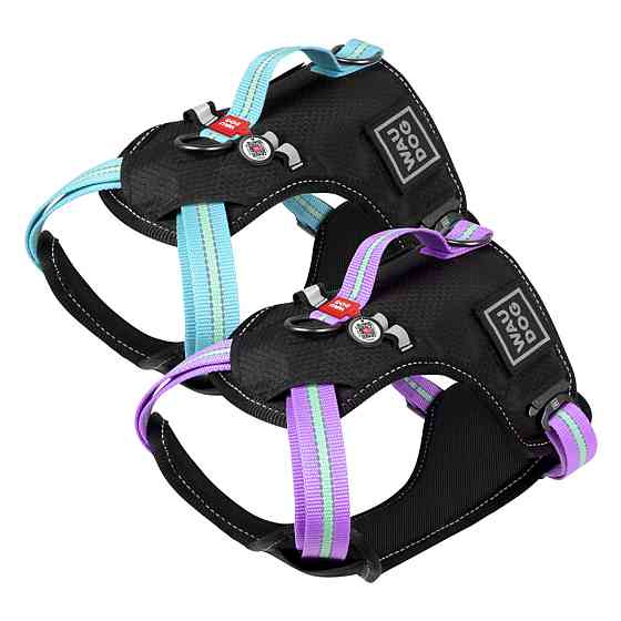 Davis 15 to 1 Shampoo With Fragrance ДЭВИС 15:1 шампунь с ароматом для собак, котов, концентрат Киев