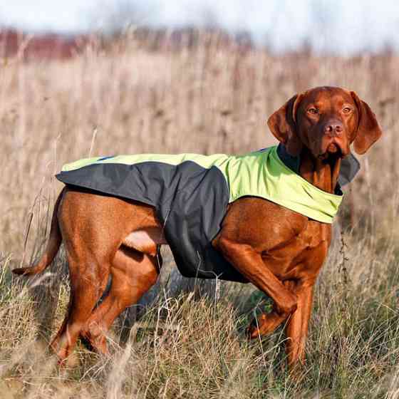 Flamingo Touchdog Coat ФЛАМІНГО ПЛАЩ попона одяг для собак Київ