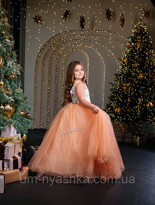 Длинное нарядное платье на 9-11 лет Кривой Рог - изображение 3