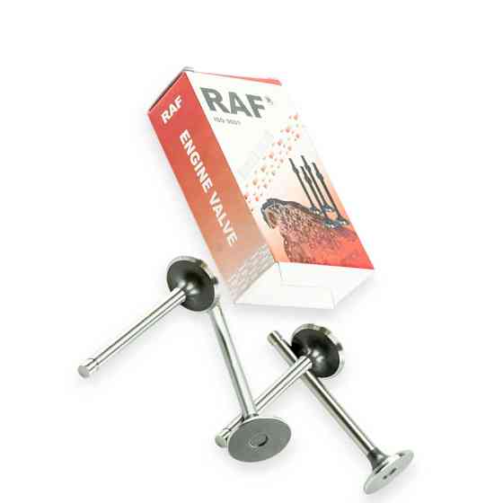 Клапана 2410 випуск 4шт (raf-sport) газ Мукачево