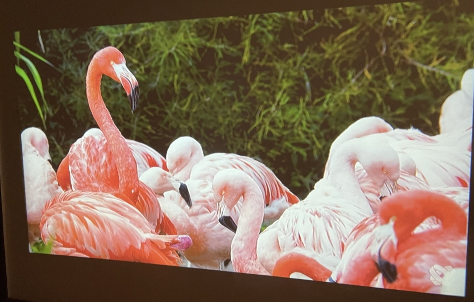 Проєктор Android Smart Hongetop P10 Харків - фото 3