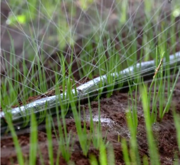 Стрічка туман Golden drip  50/30/7  100 м Дніпро - фото 4