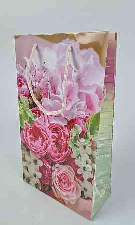 Бумажный пакет подарочный Средний 17/26/8(артSV-136 ) (12 шт) Харьков