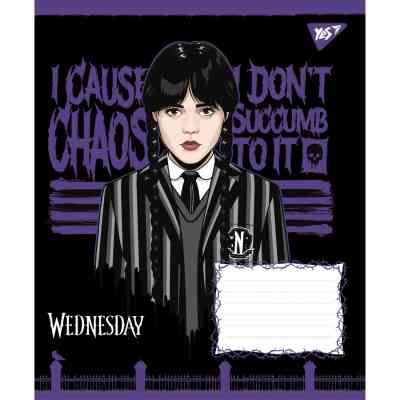 Тетрадь Yes Wednesday Школа Загадок А5 24 листа клетка (768265) Винница