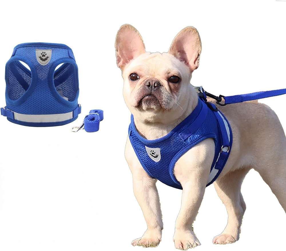 Шлея для собак з повідцем розмір М (товар вживаний) Луцьк - фото 1