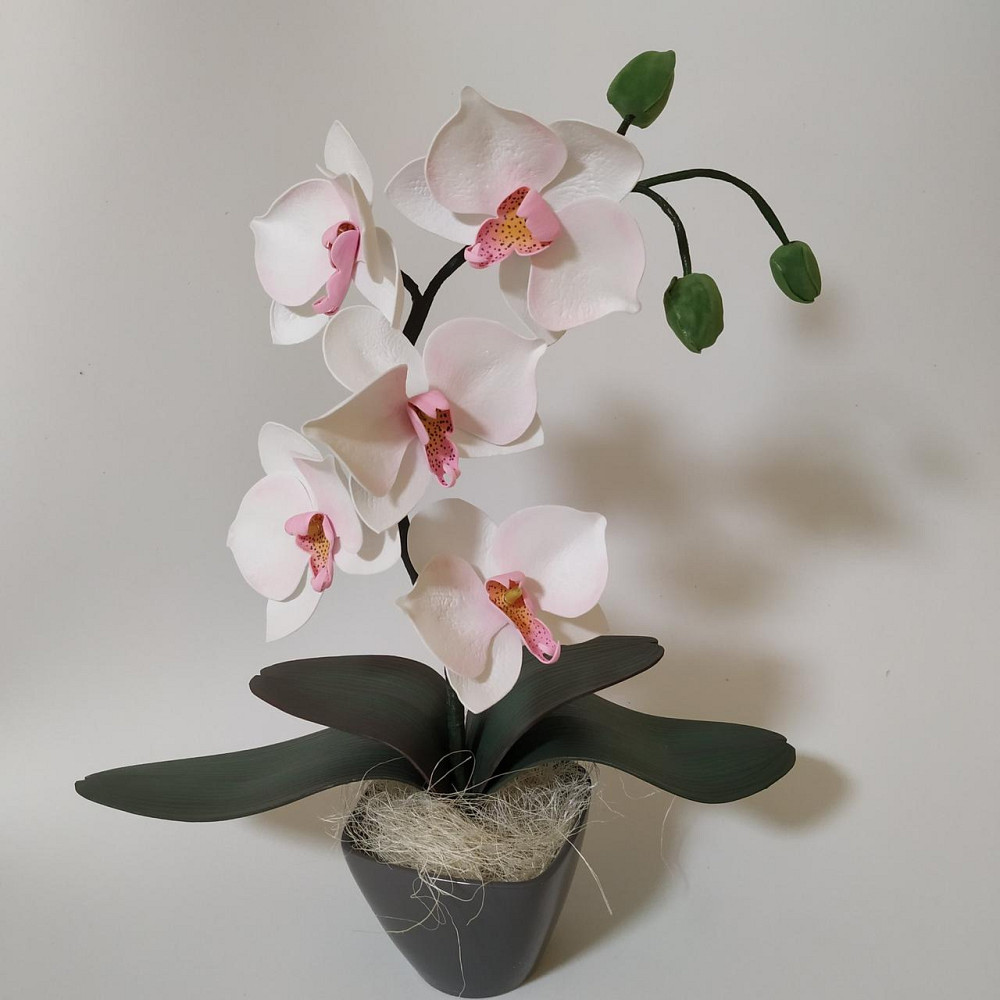 Світильник-нічник "Орхідея Ніжність" Дніпро - фото 1