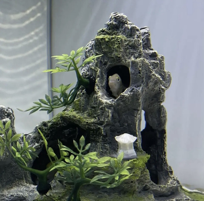 Декор для акваріума Скала акваріумний пейзаж розмір 17 на 22 на 9 см смола акваріумний декор Київ - фото 2