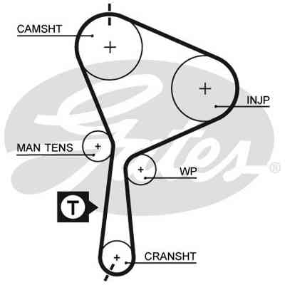 Ремінь ГРМ Gates 5552XS Вінниця
