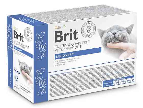Корм влажный для кошек Brit GF VetDiet Recovery с лососем, 12 x 85 г Винница