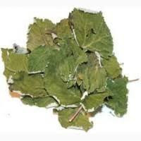 Листя мати-й-мачехи (Мать-и мачеха лист)  100г master sem Киев - изображение 2