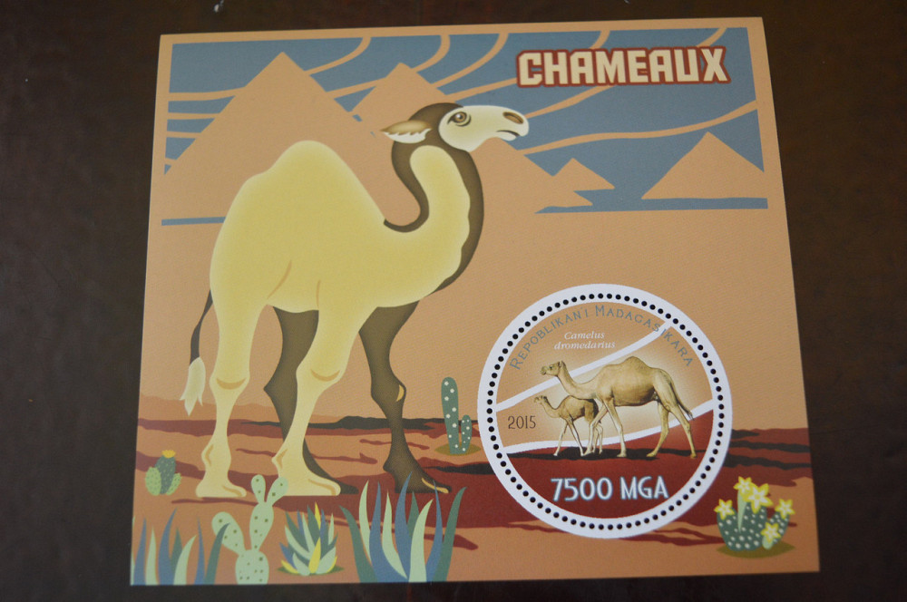 Мадагаскар. Марки. Фауна. Блок. 2015 рік (А-22) Полтава - фото 1