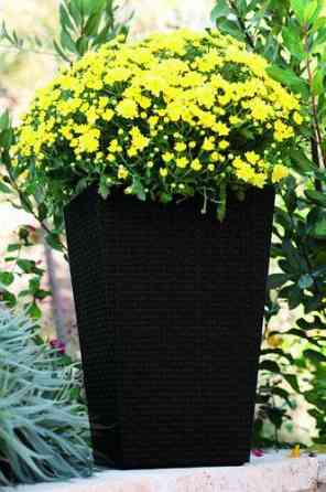 Горщик для рослин Keter Rattan Planter M (medium) 55,4 л Київ