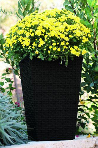 Горшок для растений Keter Rattan Planter M, (medium) 55,4 л Киев - изображение 2