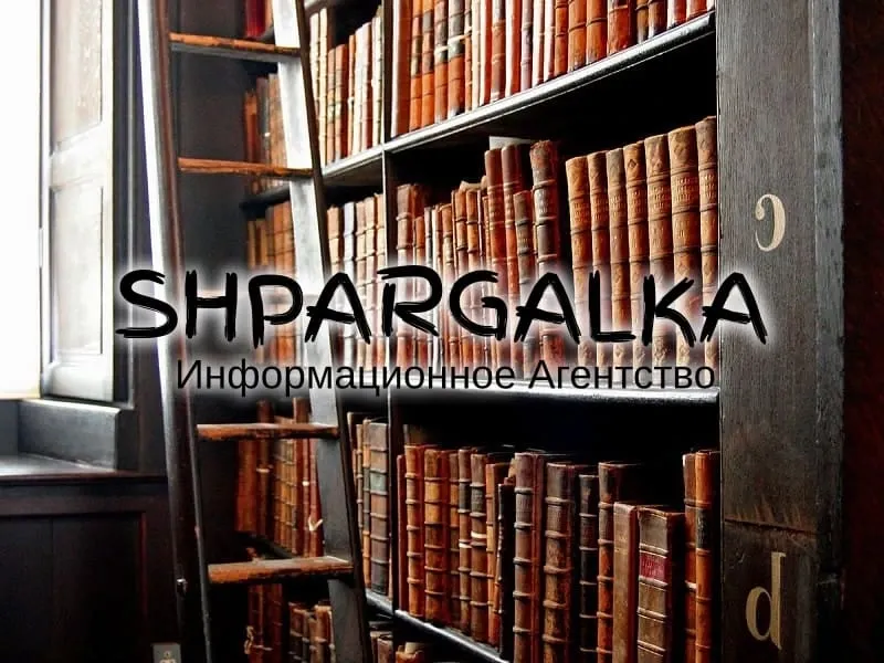 Літературний огляд для дисертації на замовлення в Україні Дніпро - фото 1