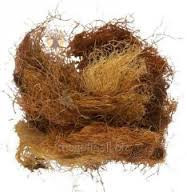 Куккрудзяні рильця, кукурузные рыльца, 500г. MasterSEM Киев - изображение 1