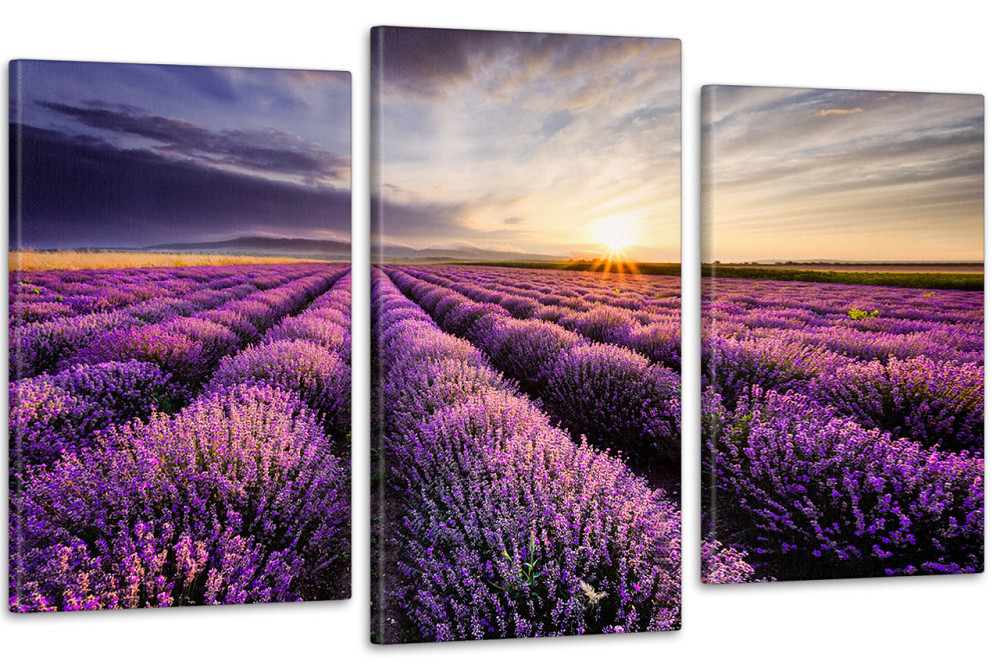 Модульна картина у вітальню/ спальню Лавандове Поле  Art-634_3 70x130 см Київ - фото 1