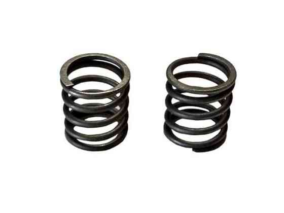 Пружины клапанов  на бензиновый двигатель 156F Мукачево