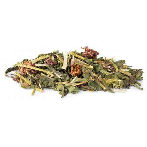 Корм Vitakraft Vita Verde для декоративных грызунов, с подорожником и клевером, 70 г Винница