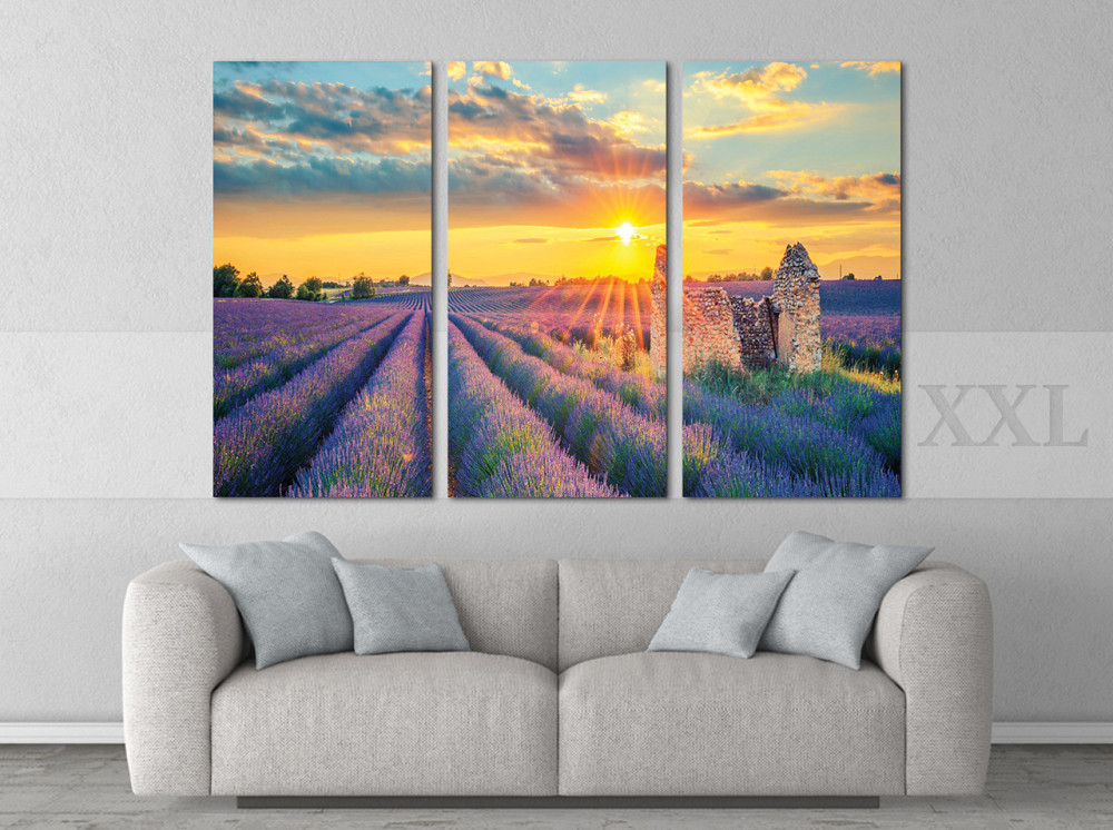 Модульна картина Прованс Art-198_XXL Київ - фото 2