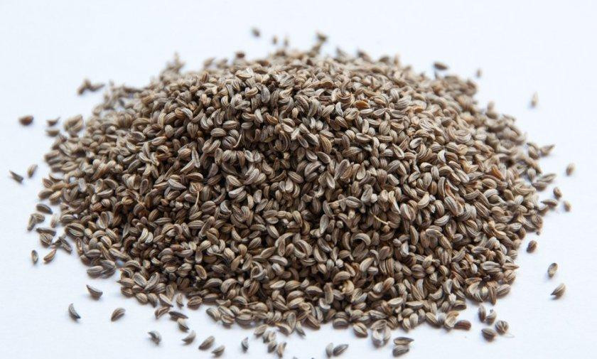 Петрушка (насіння ціле), 1кг Київ - фото 1