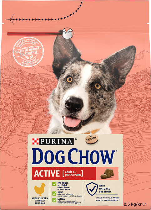 Сухой корм DOG CHOW Active Adult 1+ для взрослых собак с повышенной активностью, с курицей, 2.5 кг Киев - изображение 1