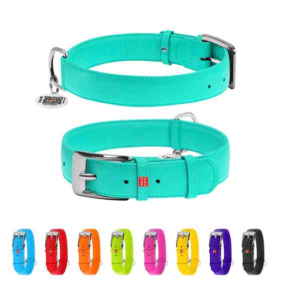 Нашийник для собак шкіряний WAUDOG Glamour з QR паспортом, без прикрас, XL, Ш 35 мм, Дов 46-60 Коломия