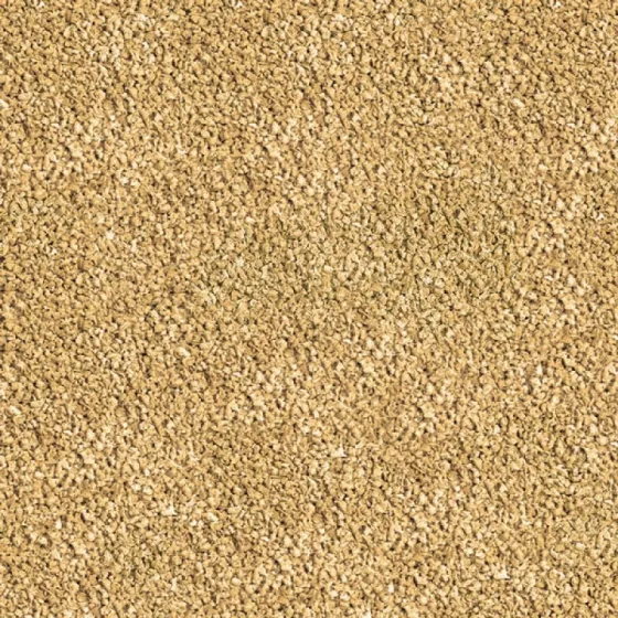 Корм для акваріумних риб півників Sera Bettagran Nature (Сера Бетарган) гранули для посилення забарвлення риб 10 г Київ