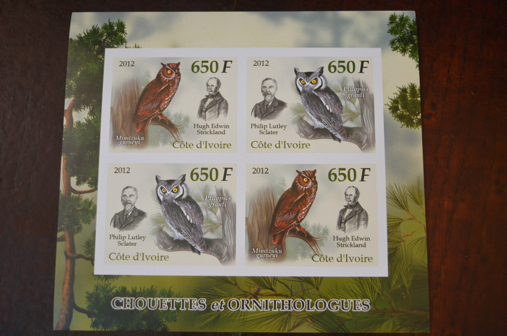 Кот-д' cosin. Фауна. Личности. Блок. (А-35) Полтава - фото 1