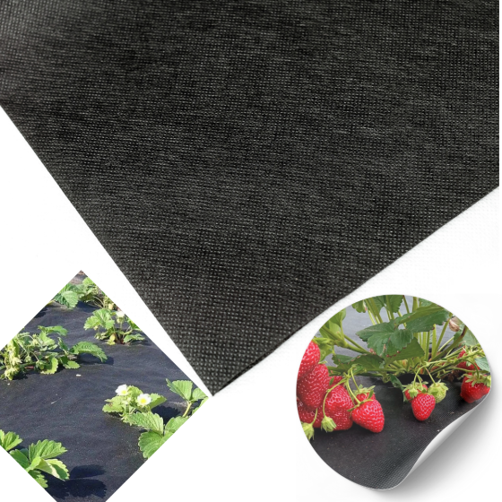 Агроволокно 60 г/м2 1,6 х100м. чорне"Shadow" 4% агроволокно від виробника Дніпро