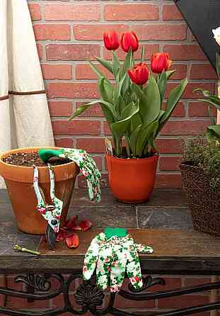 Набір для саду та городу, комплект для саду рукавички, ножиці, граблі, комплект садових інструментів із 4 предметів Кам'янець-Подільський