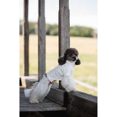 Футболка для тварин Pet Fashion Ostap XXS (4823082439294) Вінниця - фото 7