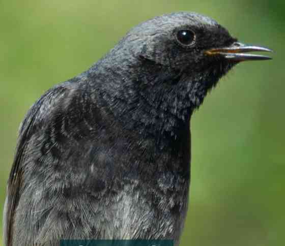 Фотоапарат Panasonic Lumix DC-FZ82D (DC-FZ82DE-K) Харків