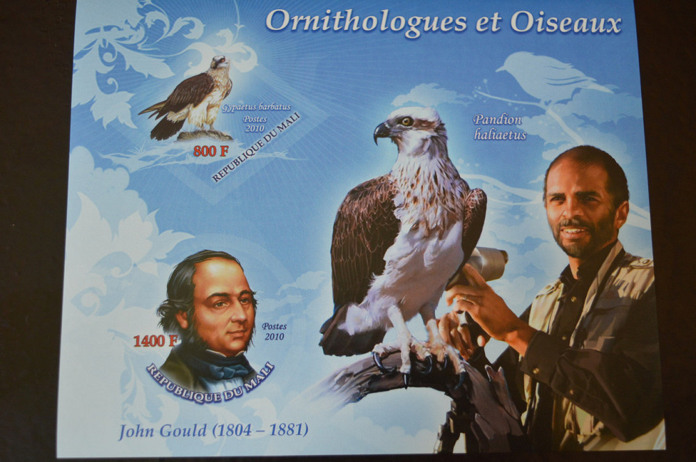 Марки. Фауна. Блок. 2010 рік (А-31) Полтава - изображение 1