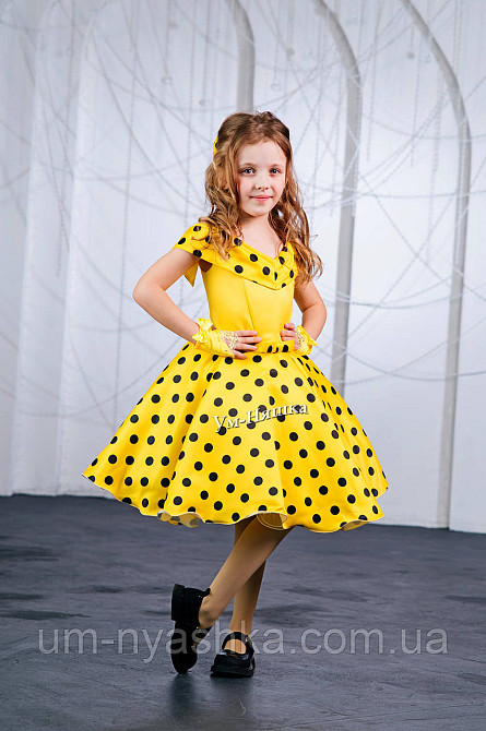 Пишне ошатне плаття в ретро стилі "Стиляги" Кривий Ріг - фото 16